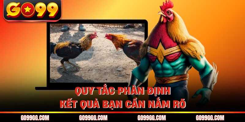Luật Chơi Đá Gà Thomo - Các Quy Định Dành Cho Kê Thủ 3 Quy tắc phân định kết quả bạn cần nắm rõ